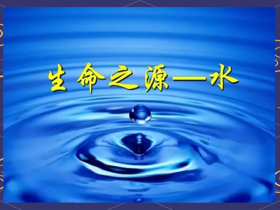 光合作用：地球生命的能量之源