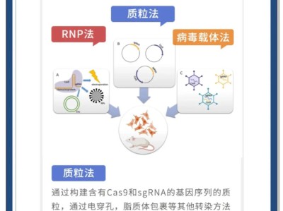 基因编辑：改写生命密码的双刃剑