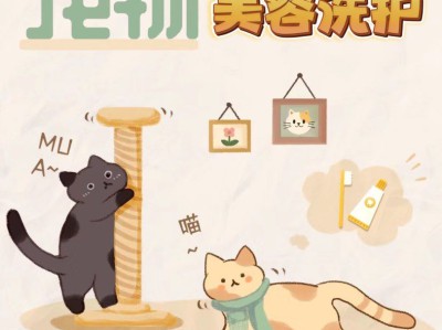 宠物护理小技巧，简单易行，守护宠物健康