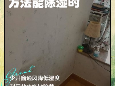 客厅防潮小技巧，保持宽敞干爽，告别霉味困扰