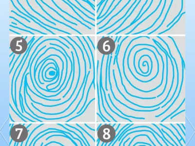 指纹：独一无二的“人体身份证”