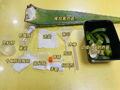 自制天然清洁剂小技巧，安全环保，清洁效果好