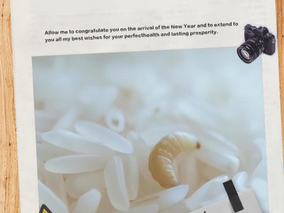 大米储存防虫+保鲜技巧，避免变质浪费更安心