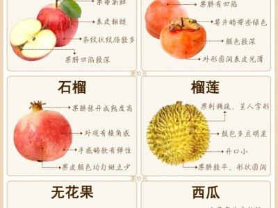 水果挑选小技巧：轻松选到新鲜优质的水果