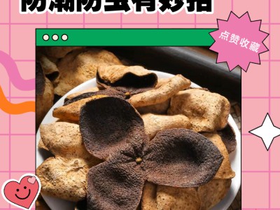 书籍保养小技巧：防潮防虫，延长寿命