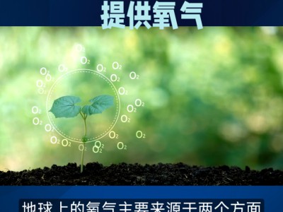 光合作用：地球生态的“能量转换器”