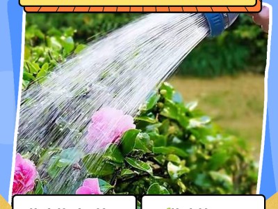 绿植浇水小技巧，精准浇水长势更旺盛