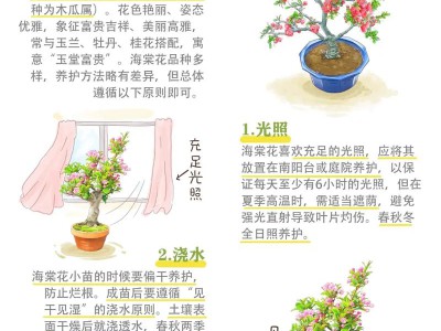 居家养花科普：常见花卉养护技巧，新手也能养出好花
