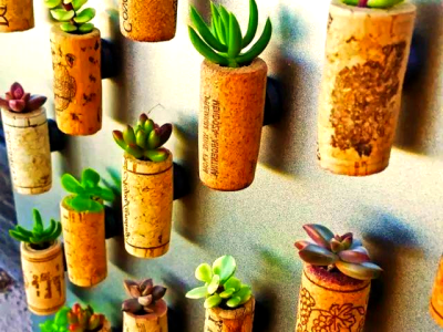 旧物改造小技巧，变废为宝，打造实用小物件